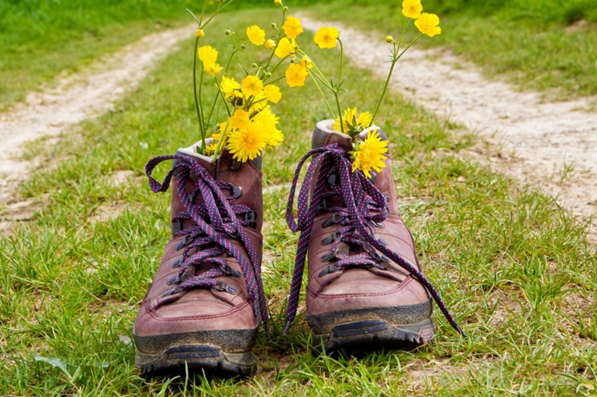Wandelgroep Verbindingscentrum Vijfhoek Colmschate