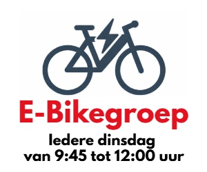 e-bike ebike vijfhoek